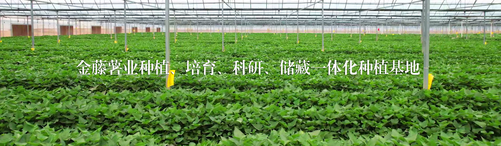 產(chǎn)品中心