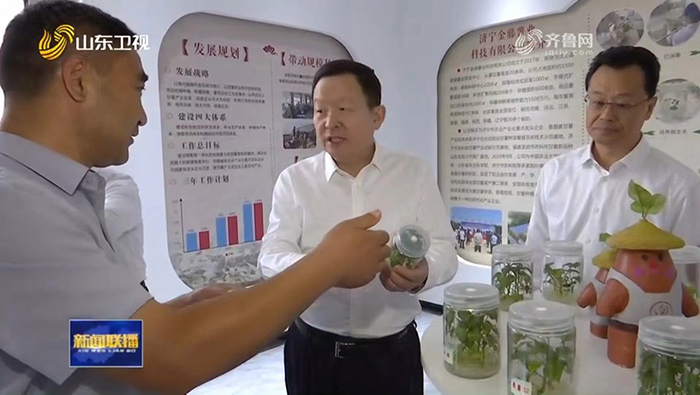 山東省委副書記、省長周乃翔到金藤公司調(diào)研汶上縣甘薯產(chǎn)業(yè)發(fā)展情況