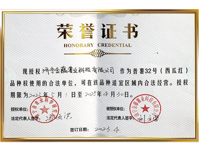 榮譽證書